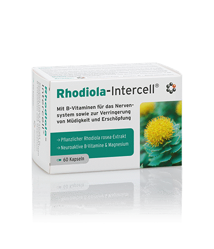 Rhodiola-Intercell® Różeniec Górski 60 kaps. Naturalne ukojenie i źródło wewnętrznej siły. Wysyłka w 24h. Oficjalny dystrybutor